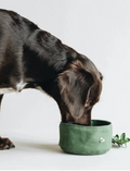 Foldable Dog Travel Bowl