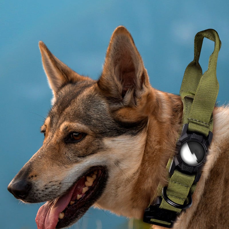 Dog Tracker Holder